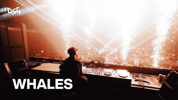 Whales live on tour